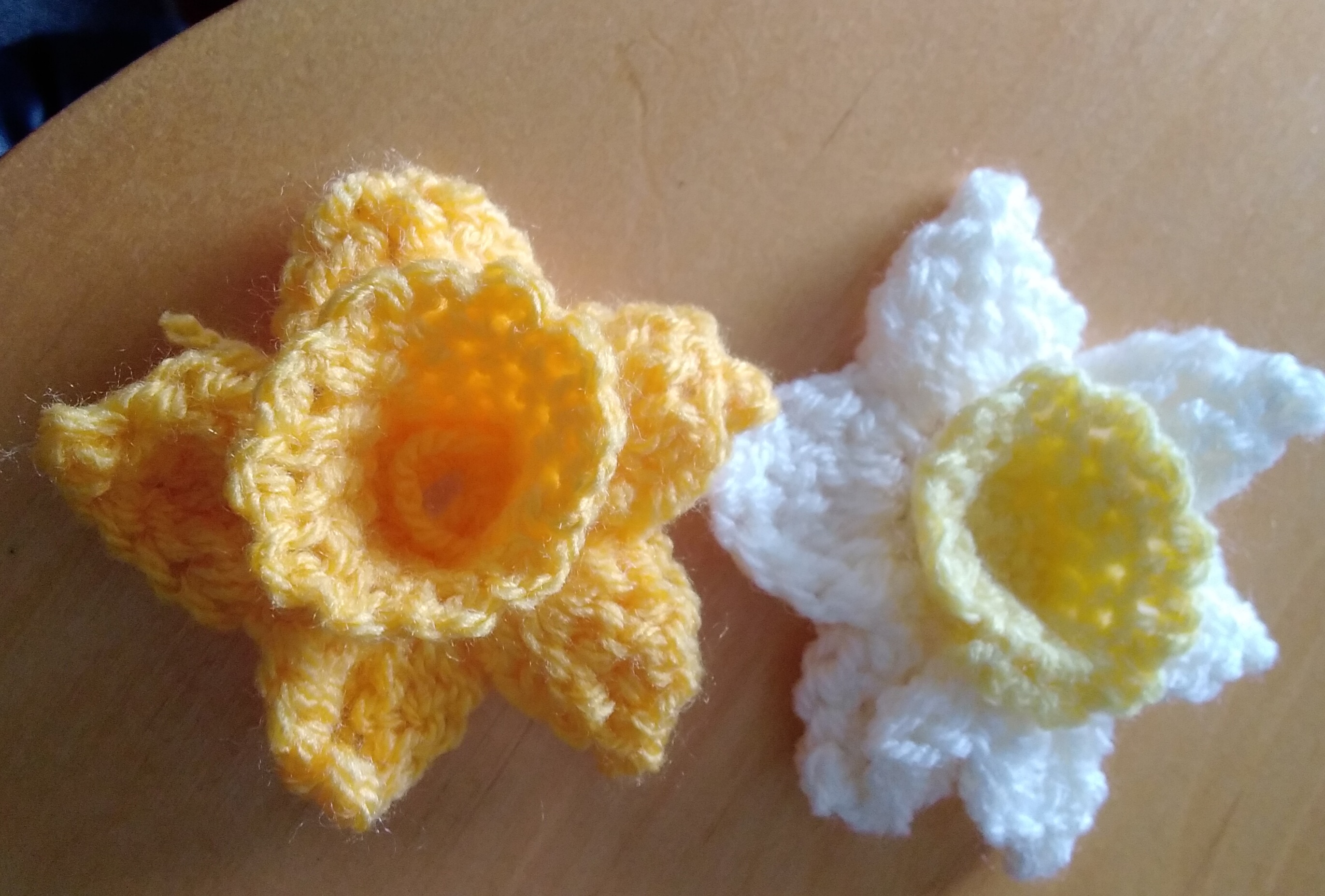 St David’s Day&nbsp;Daffodil