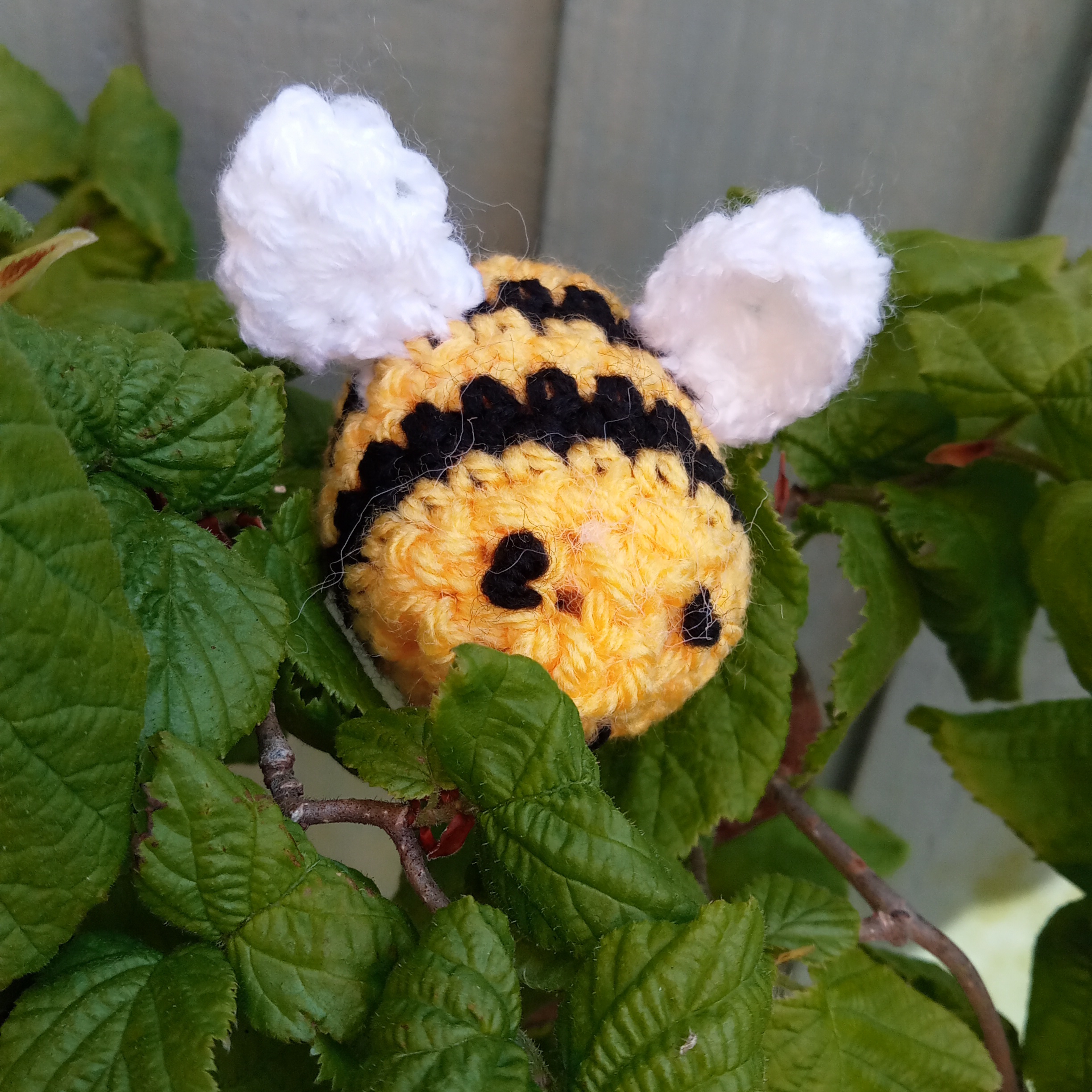 Bee Happy for World Bee Day Bee Happy for World Bee Day