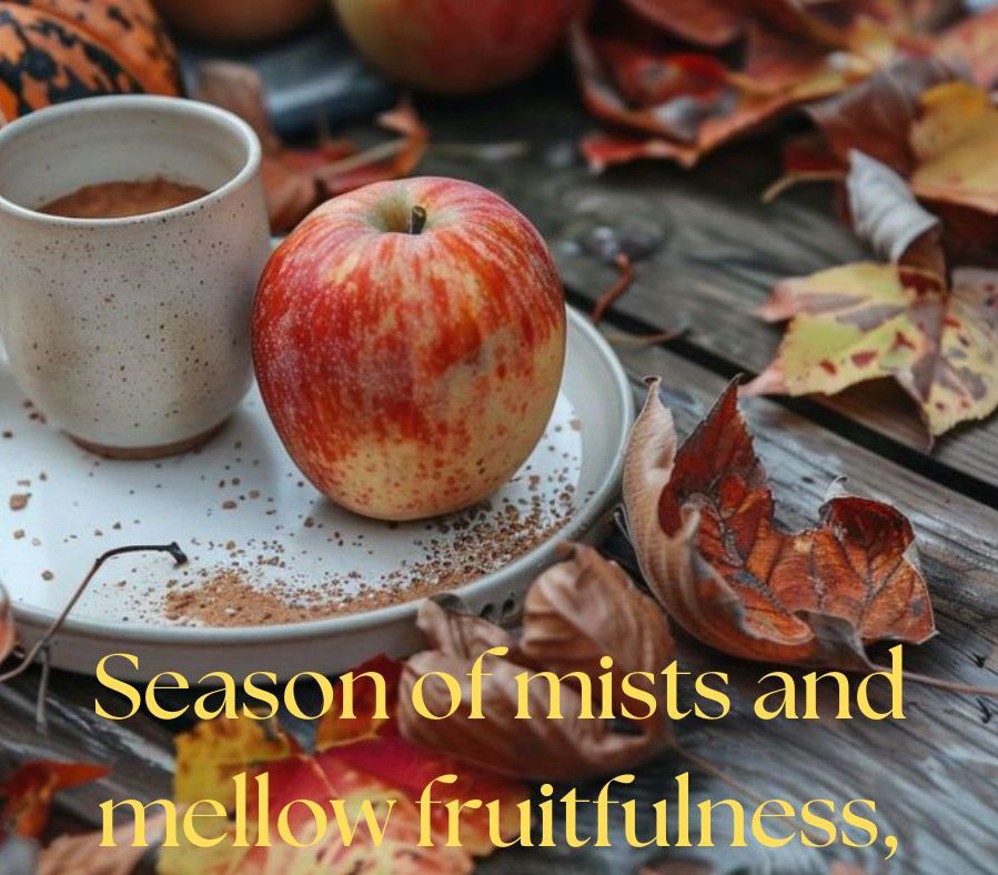 An Unexpected Bonus.