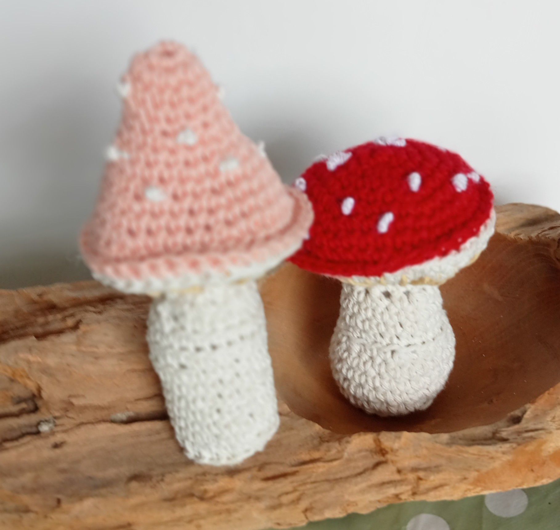 Not ‘mushroom’ for mistakes… Not ‘mushroom’ for mistakes…